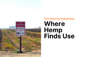 The Diverse Industries Where Hemp Finds Use