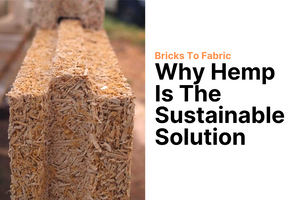 Bricks to fabric– why hemp is the sustainable solution