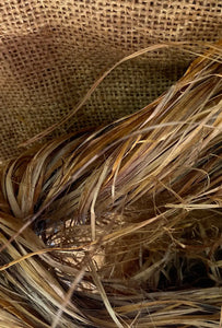 Hemp fibre kept in a jute bag in a bundle