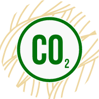 Co2