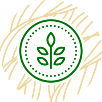 Natural fibre logo highlighting one of Hemp Fiber Qualities