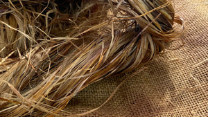 Hemp fibre kept in a jute bag in a bundle